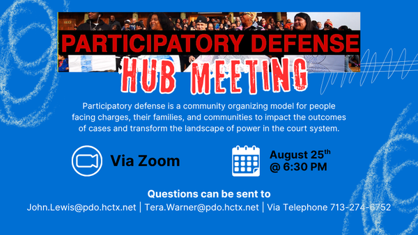 Participatory Defense Hub - aug 25